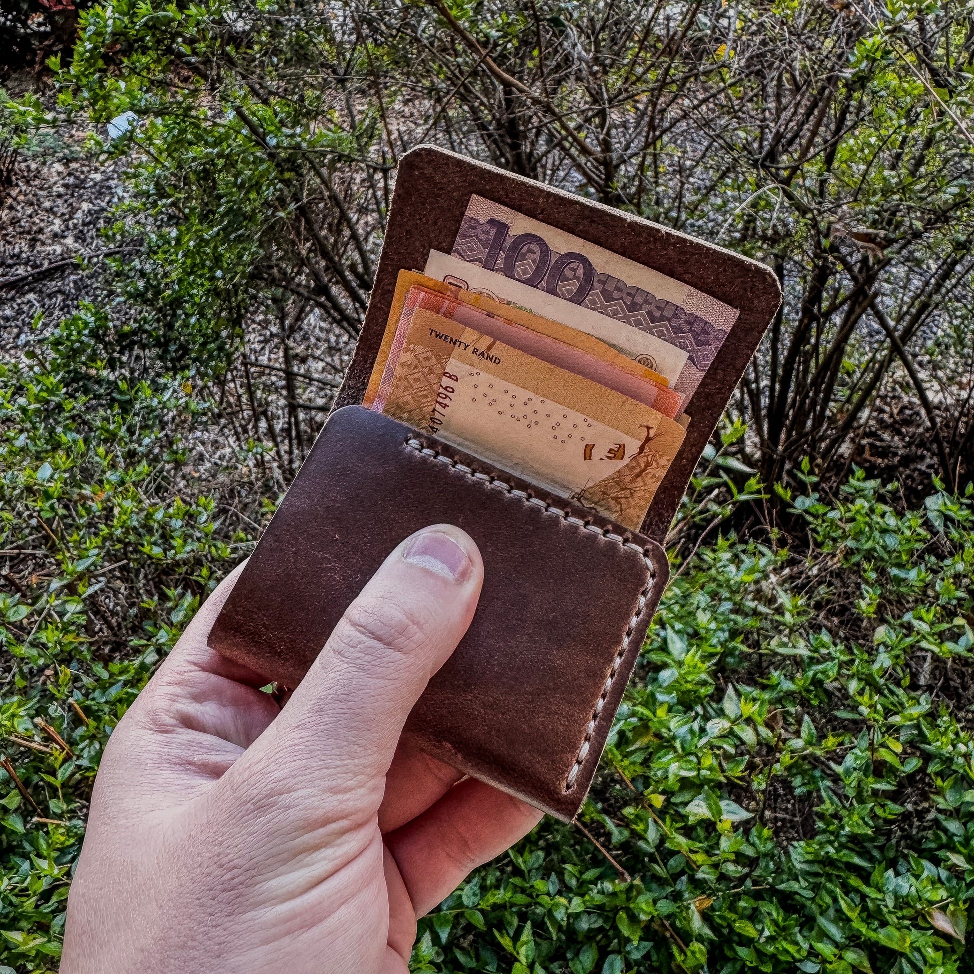 Hand holding a brown leather wallet folded with currency notes against a natural background