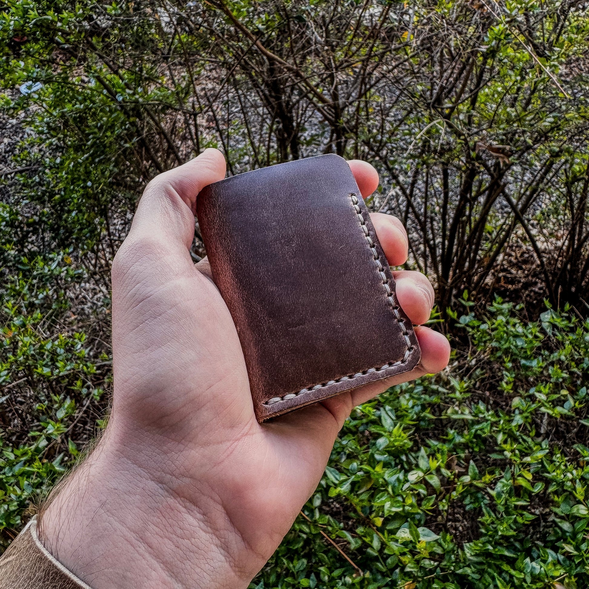 Hand holding a brown leather wallet with a natural background