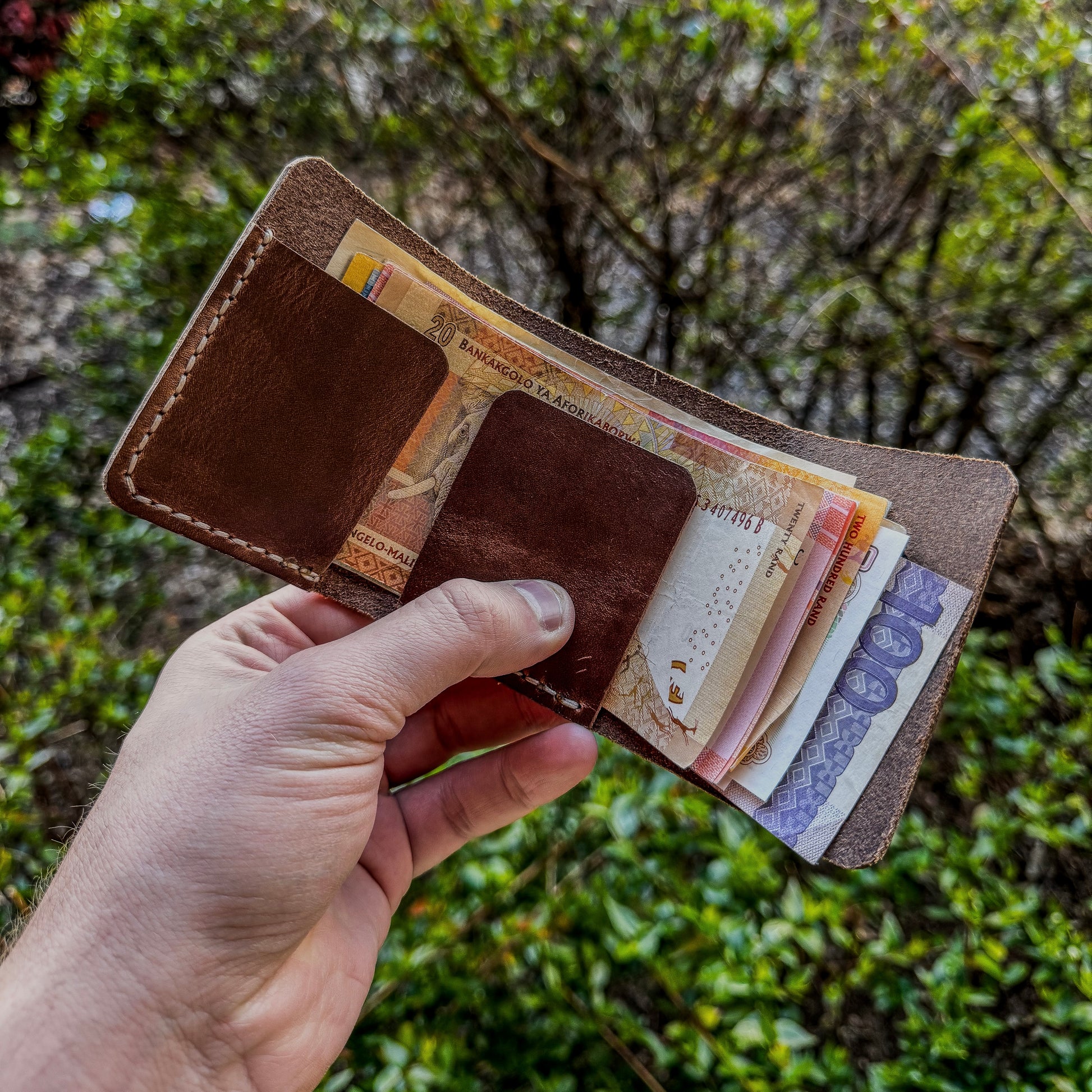 Hand holding a brown leather wallet with currency against a natural background