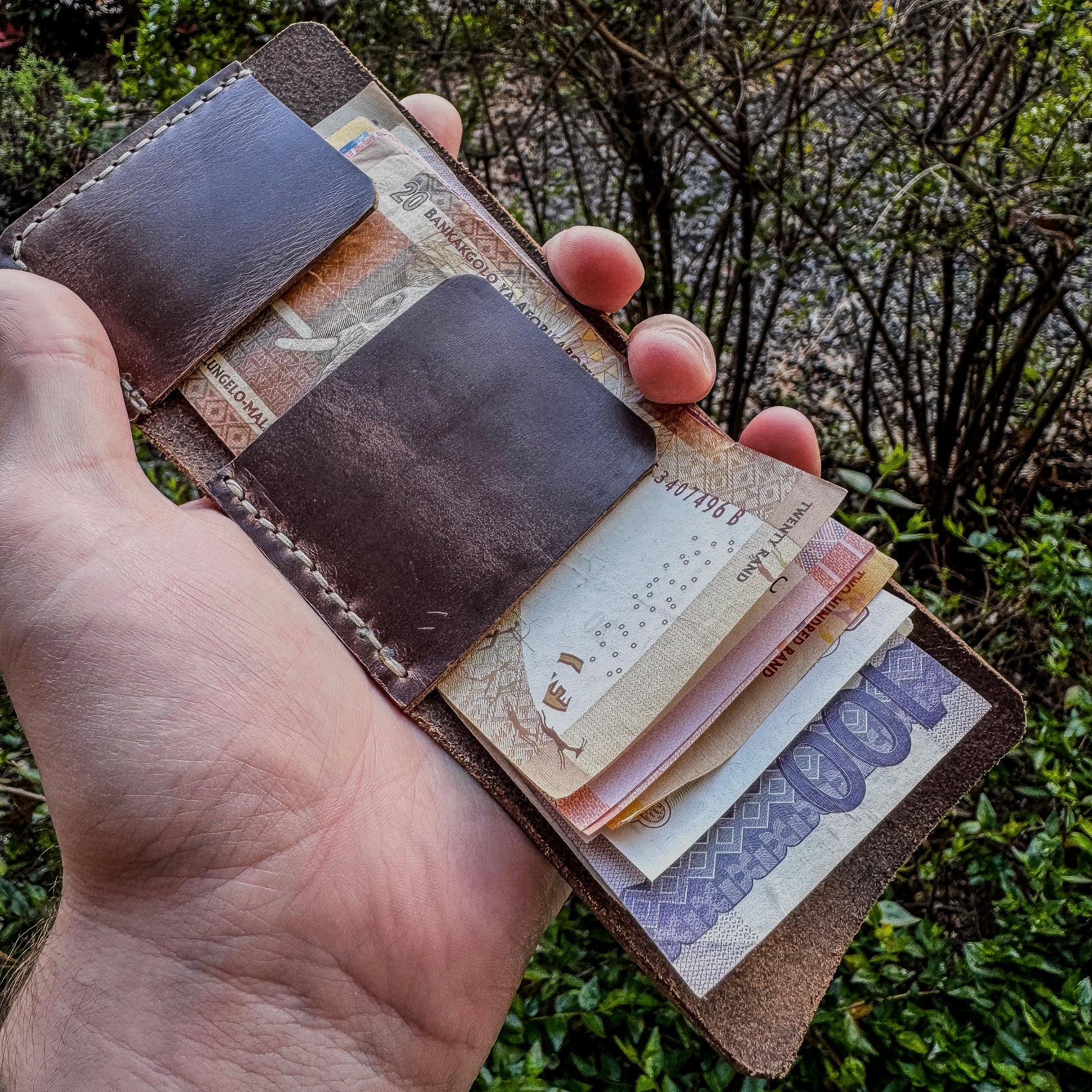 Hand holding a leather wallet with various cards and a banknote against a natural background