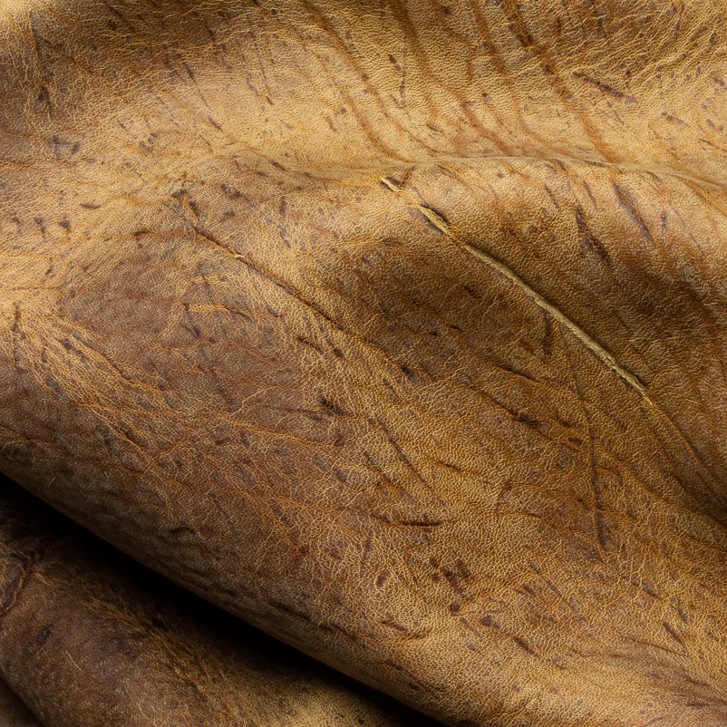 Close-up view of a premium Baobab Kudu leather hide from C.F. Stead & Co, showcasing the distinct, rugged natural grain, intricate texture, and unique, character-filled finish of this exceptional exotic leather.