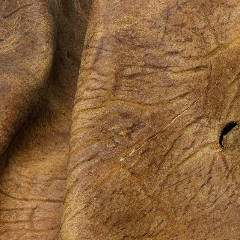 Close-up view of a premium Kudu leather hide from C.F. Stead & Co, highlighting the distinct, rugged natural grain, intricate texture, and unique, character-filled finish of this exceptional exotic leather.