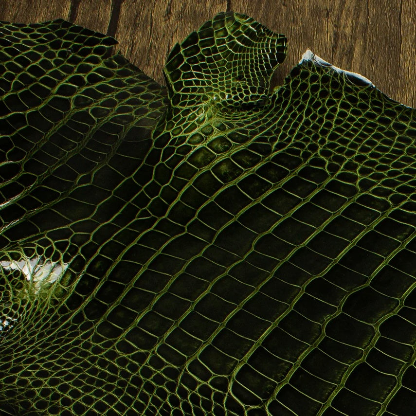 An overhead perspective of a premium River green HCP Tannery alligator hide, displaying the natural, symmetrical scale structure and elegant finish of the exotic skin laid against a rustic wooden surface.