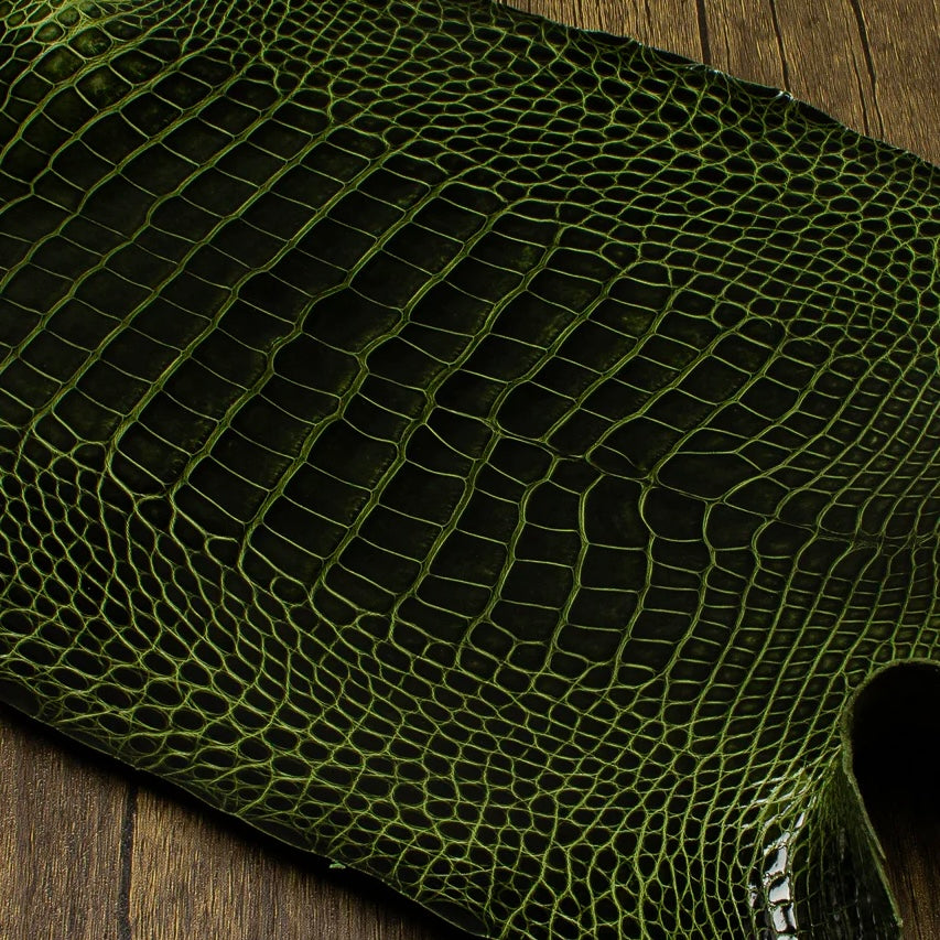 Macro texture shot of a premium River green HCP Tannery alligator hide, focusing on the intricate, geometric pattern and natural depth of the exotic scales.