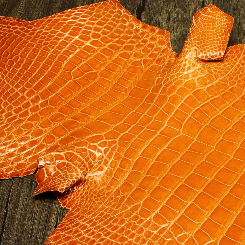 Overhead perspective of a vibrant mandarin orange HCP Tenery alligator hide, displaying the natural, symmetrical scale structure and premium finish of the exotic skin laid against a rustic wooden surface.