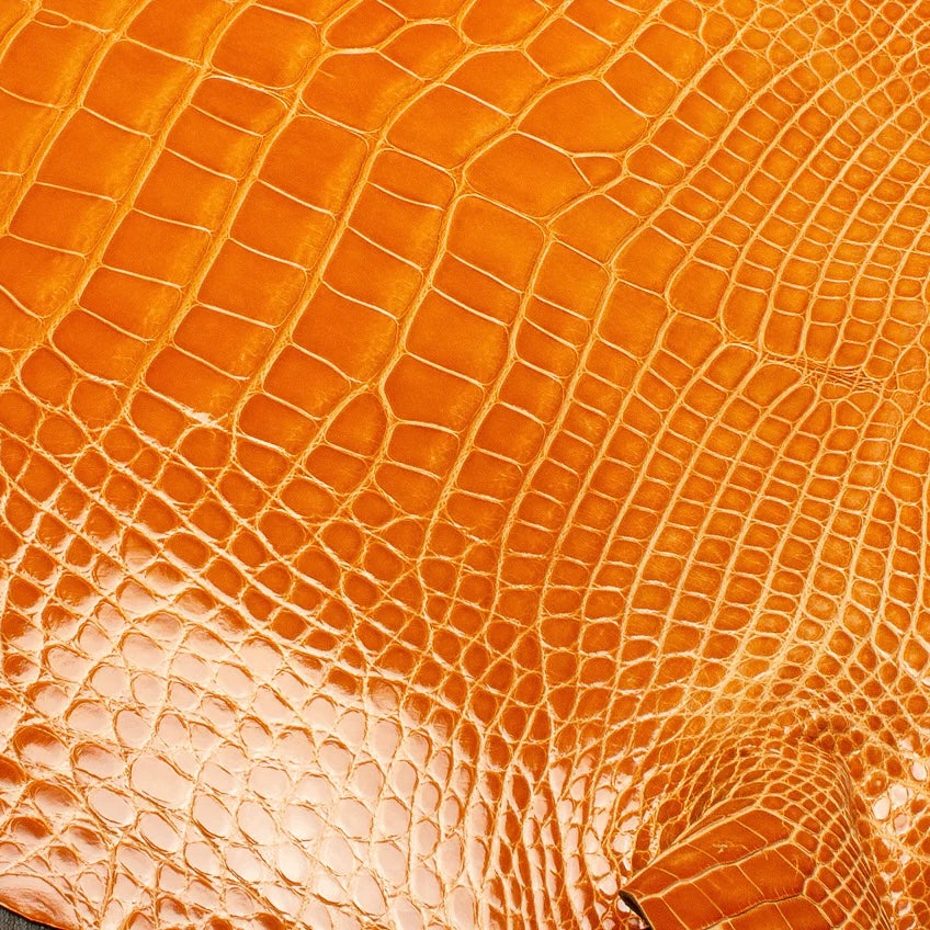 Macro texture shot of a vibrant mandarin orange HCP Tenery alligator hide, focusing on the intricate, geometric pattern and natural depth of the premium exotic scales.