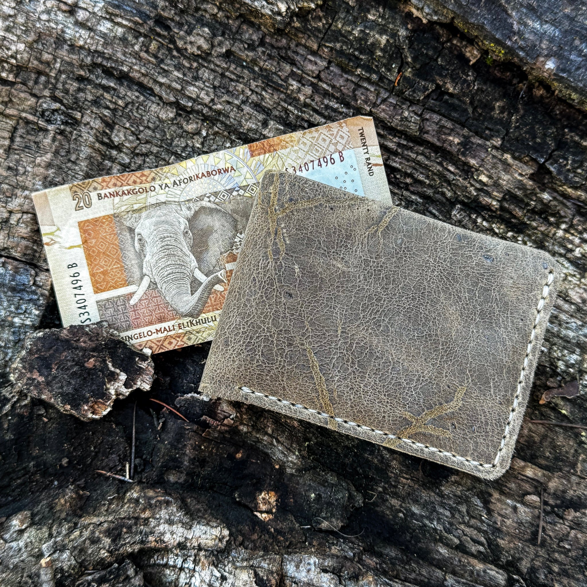 Handcrafted No. 1652 JAGTER field bifold wallet in Desert color Wild African Kudu leather, displayed next to a South African 20 Rand banknote on rugged tree bark.