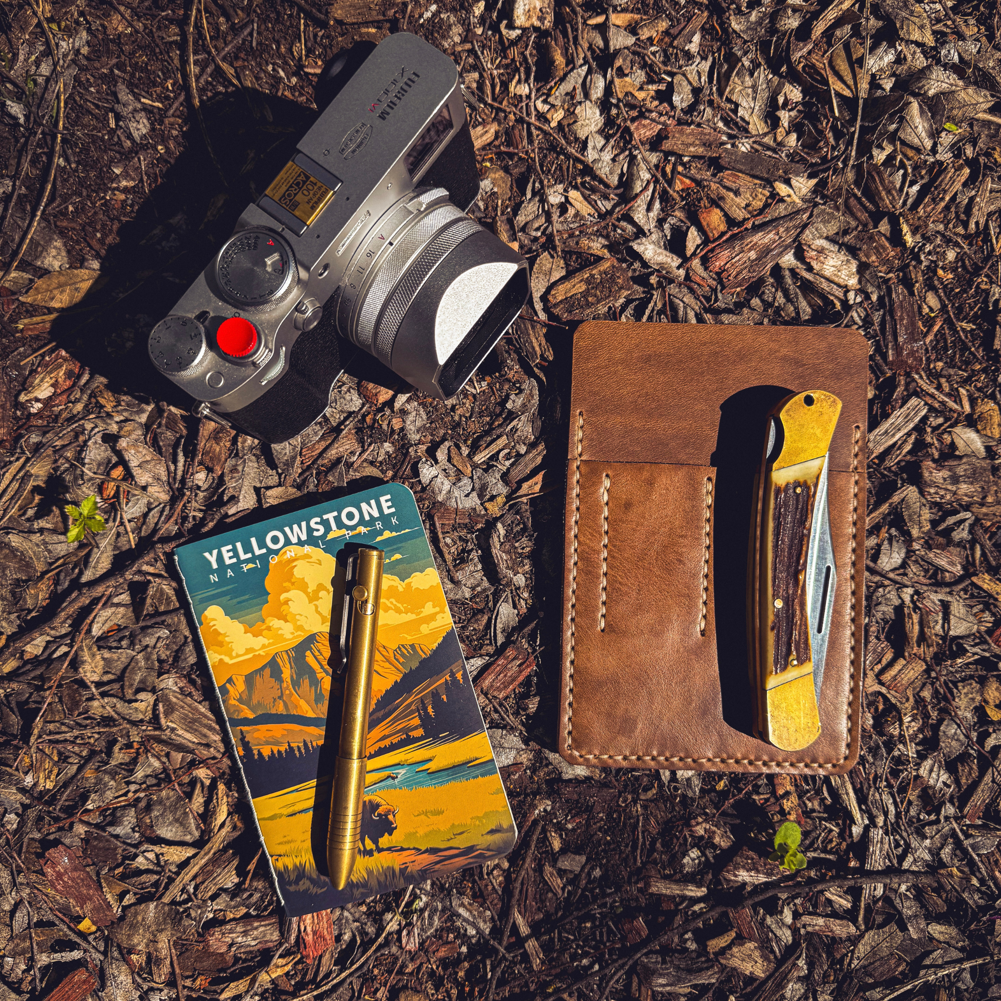 Comprehensive EDC collection including a No. 9 Ledger leather pouch, folding knife, brass pen, notebook, and a camera arranged on forest floor mulch.